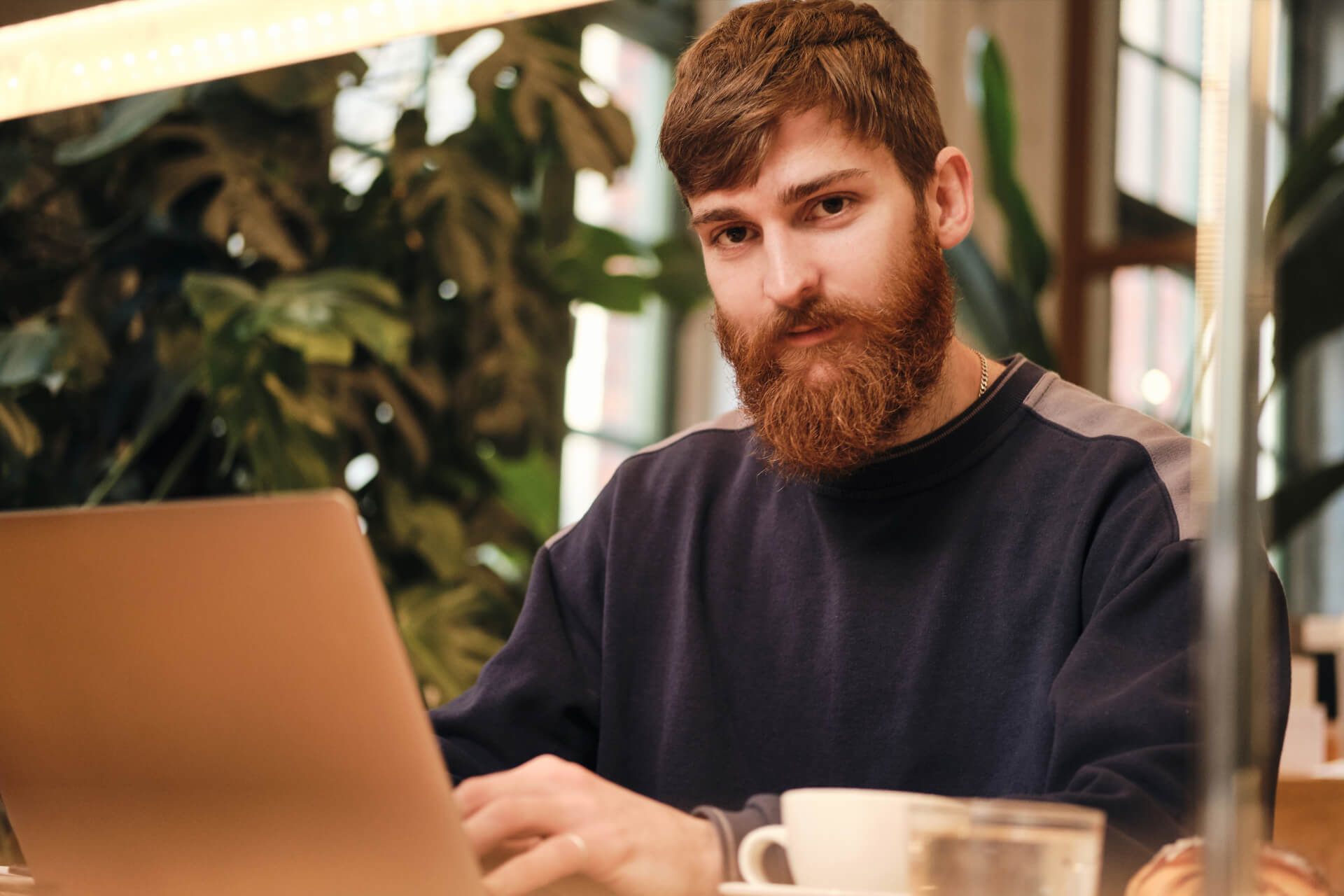 Bearded man in a navy sweatshirt working on a laptop at a café with plants in the background, researching Support for Veterans.